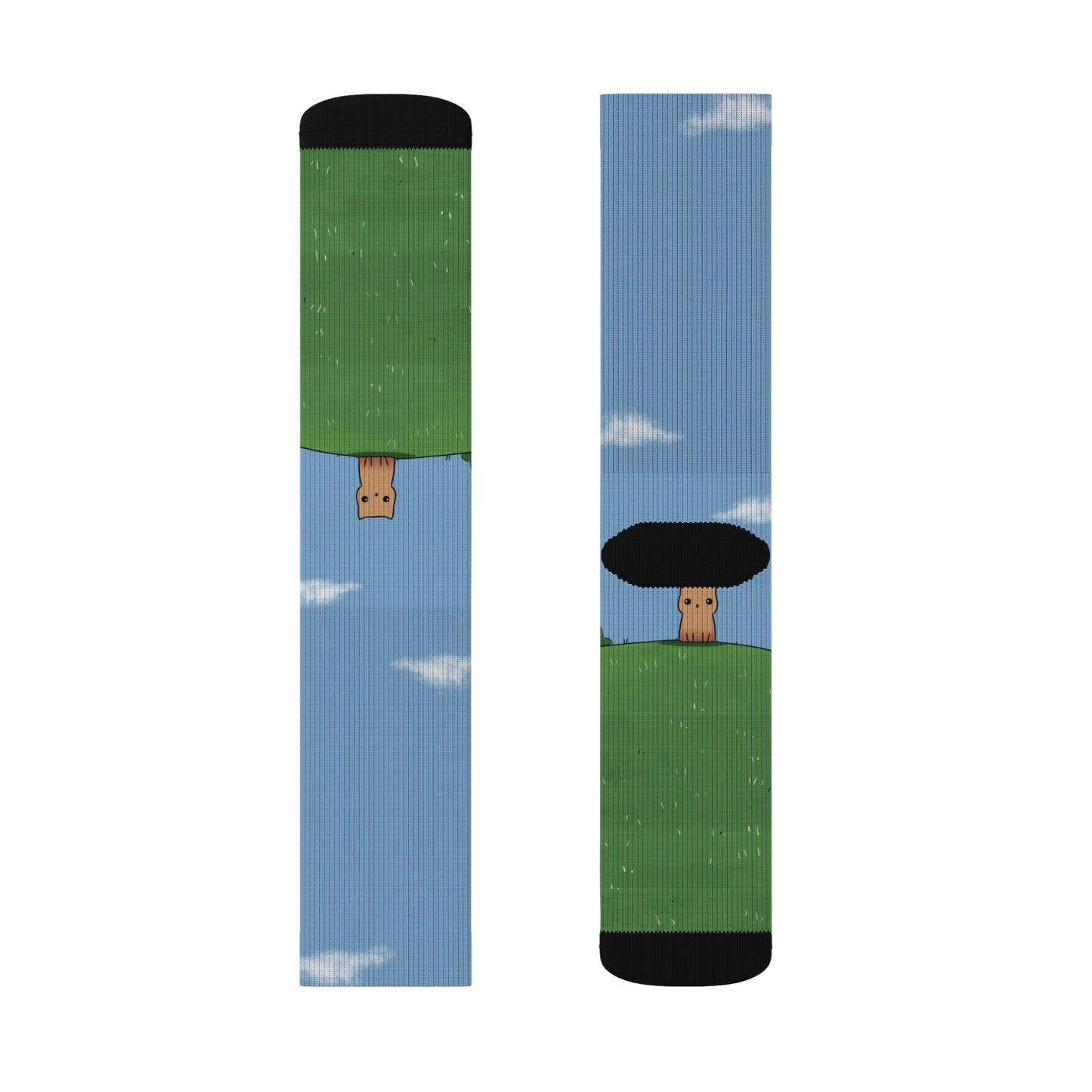 Novelty Socks for the Solitary Feline