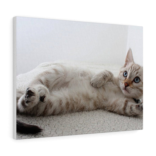 Charming Feline Canvas Wall Decor
