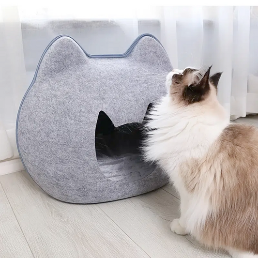 Pet Haven: Charming Feline-Shaped Shelter for Every Season
