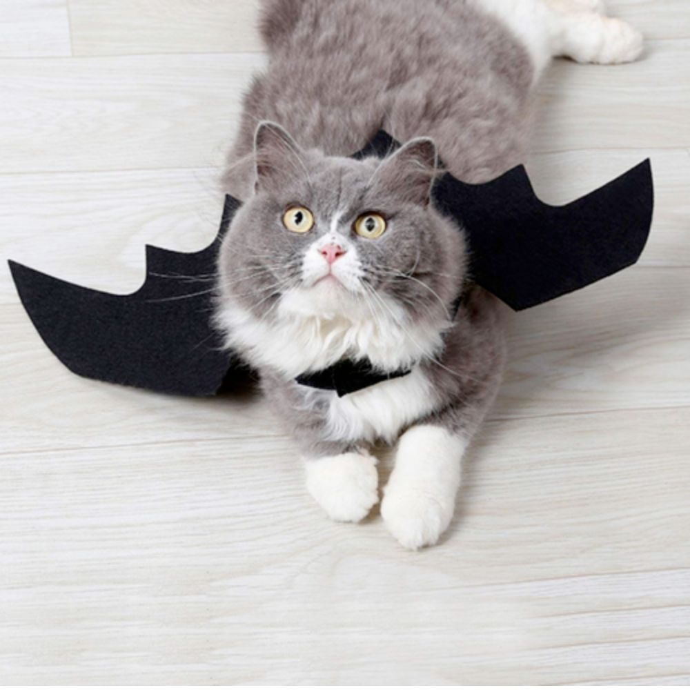 Pet Wings Costume for Halloween - Perfect for Cats and Dogs