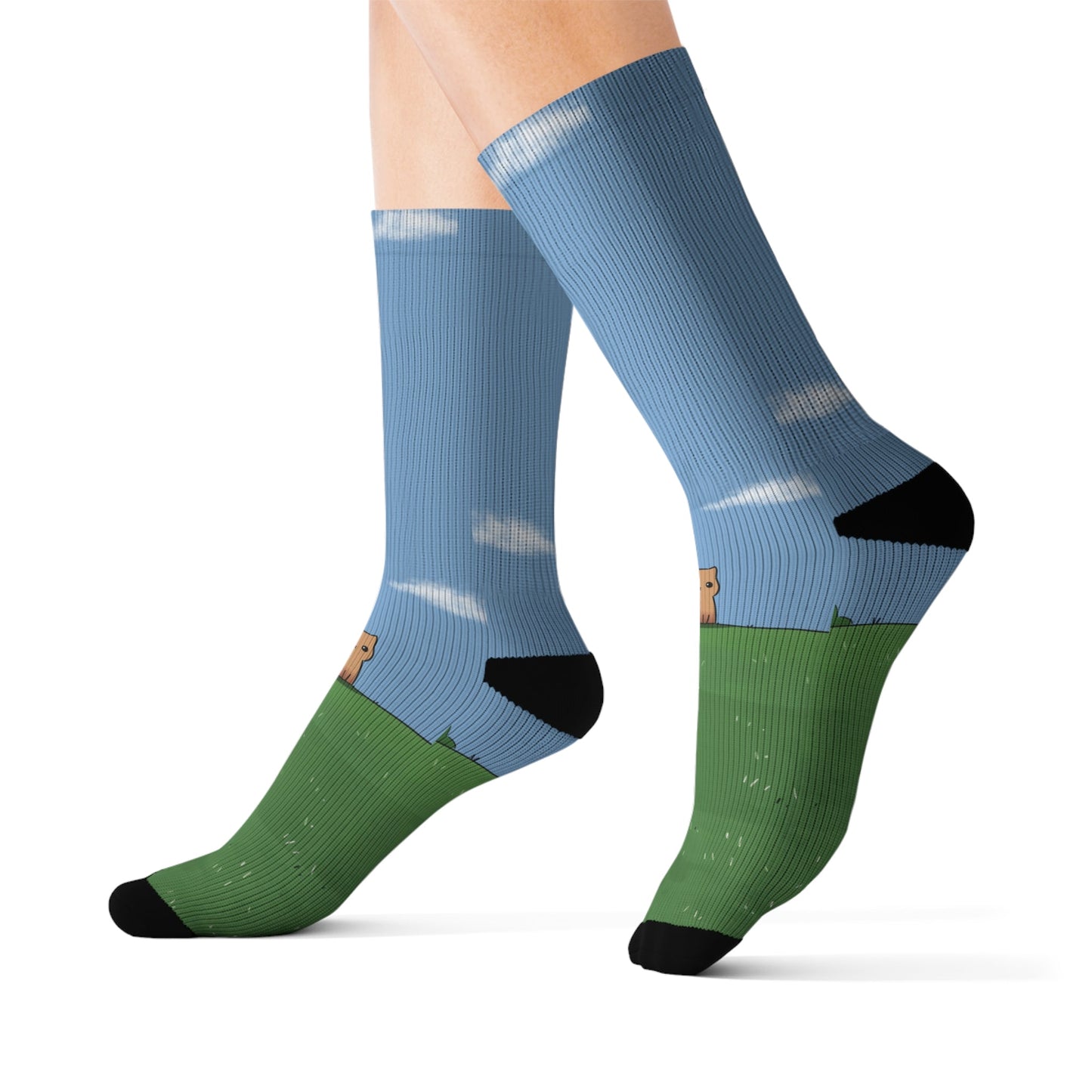 Novelty Socks for the Solitary Feline