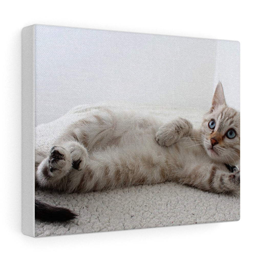 Charming Feline Canvas Wall Decor