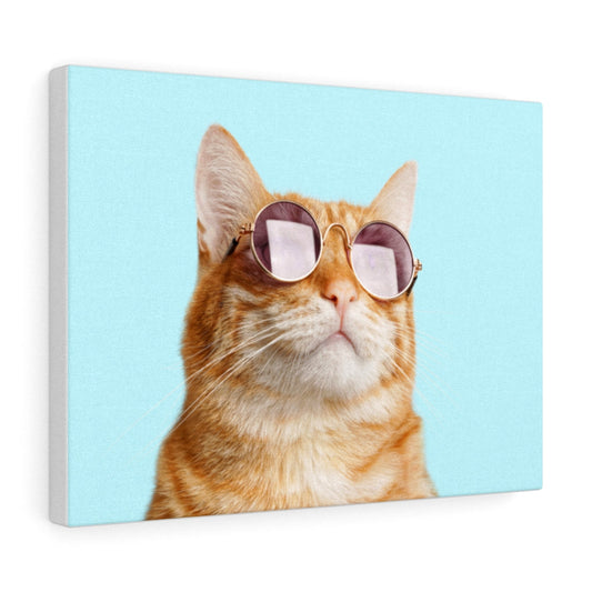 Feline Rules Canvas Gallery Wraps Wall Art