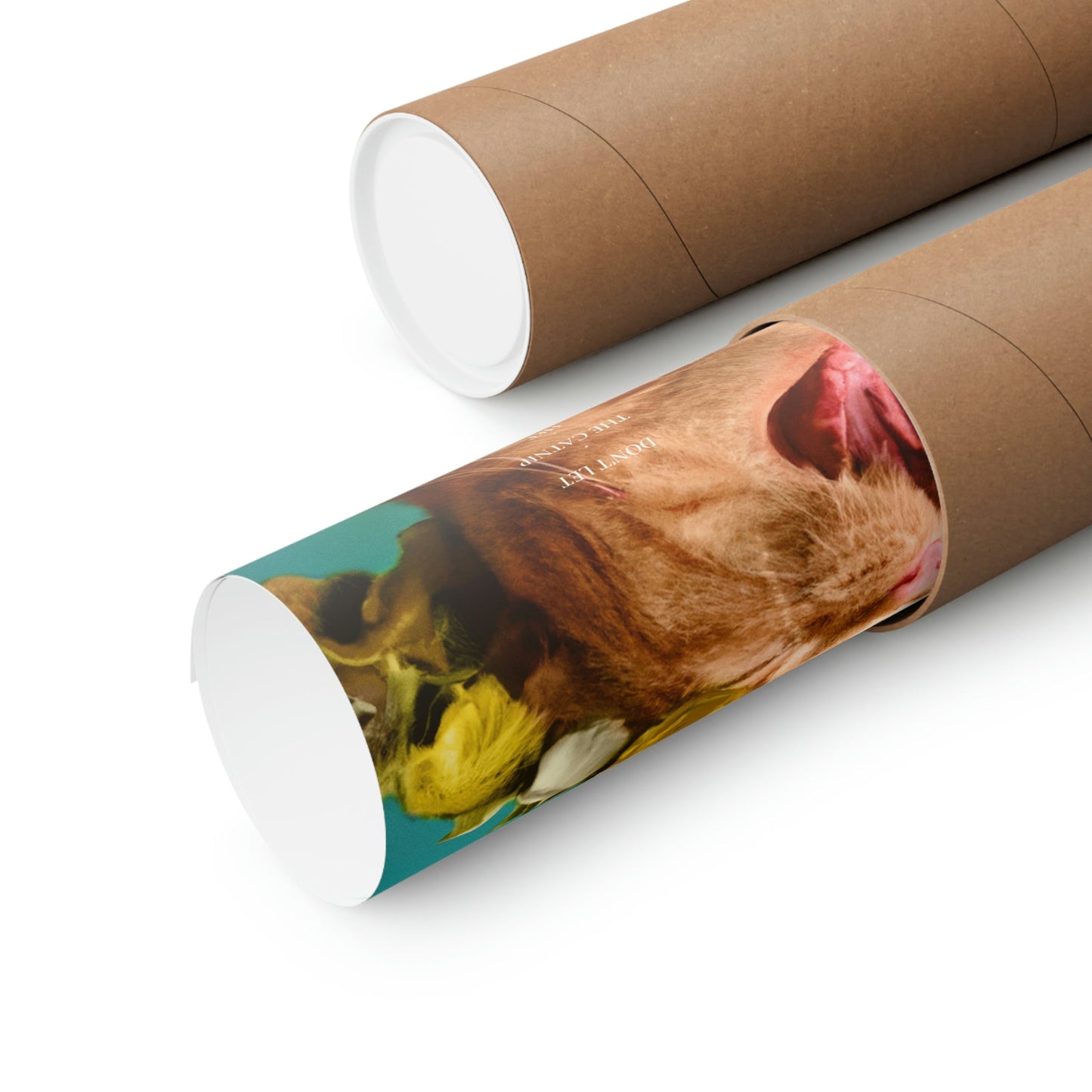 Cat Movie Poster: Midnight Meow