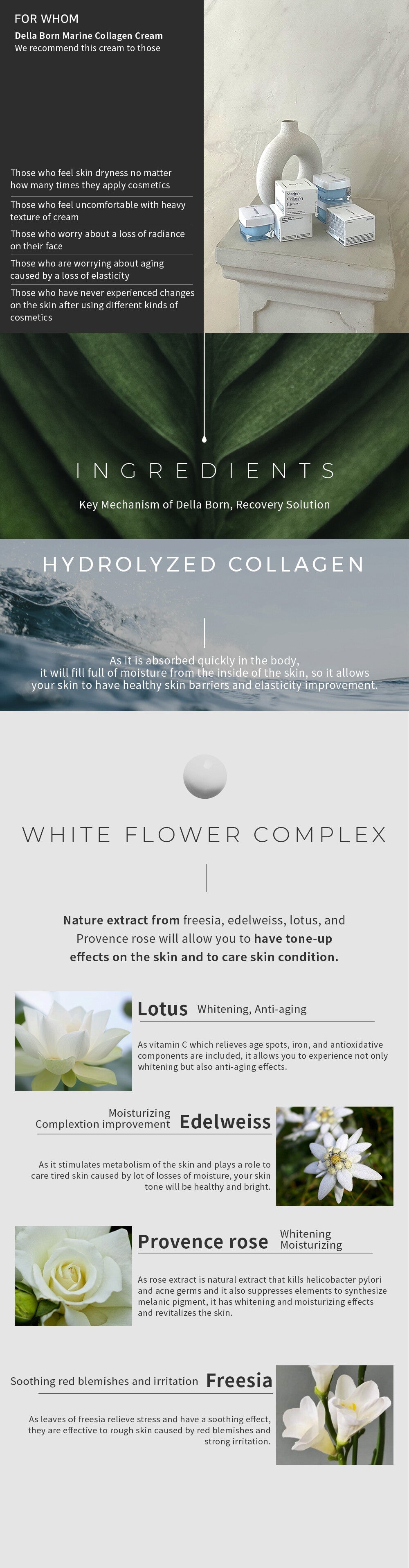 Marine Collagen Cream - 50ml: Della Born from Korea