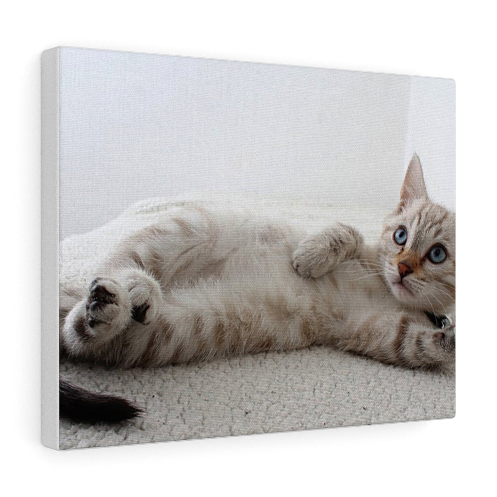 Charming Feline Canvas Wall Decor