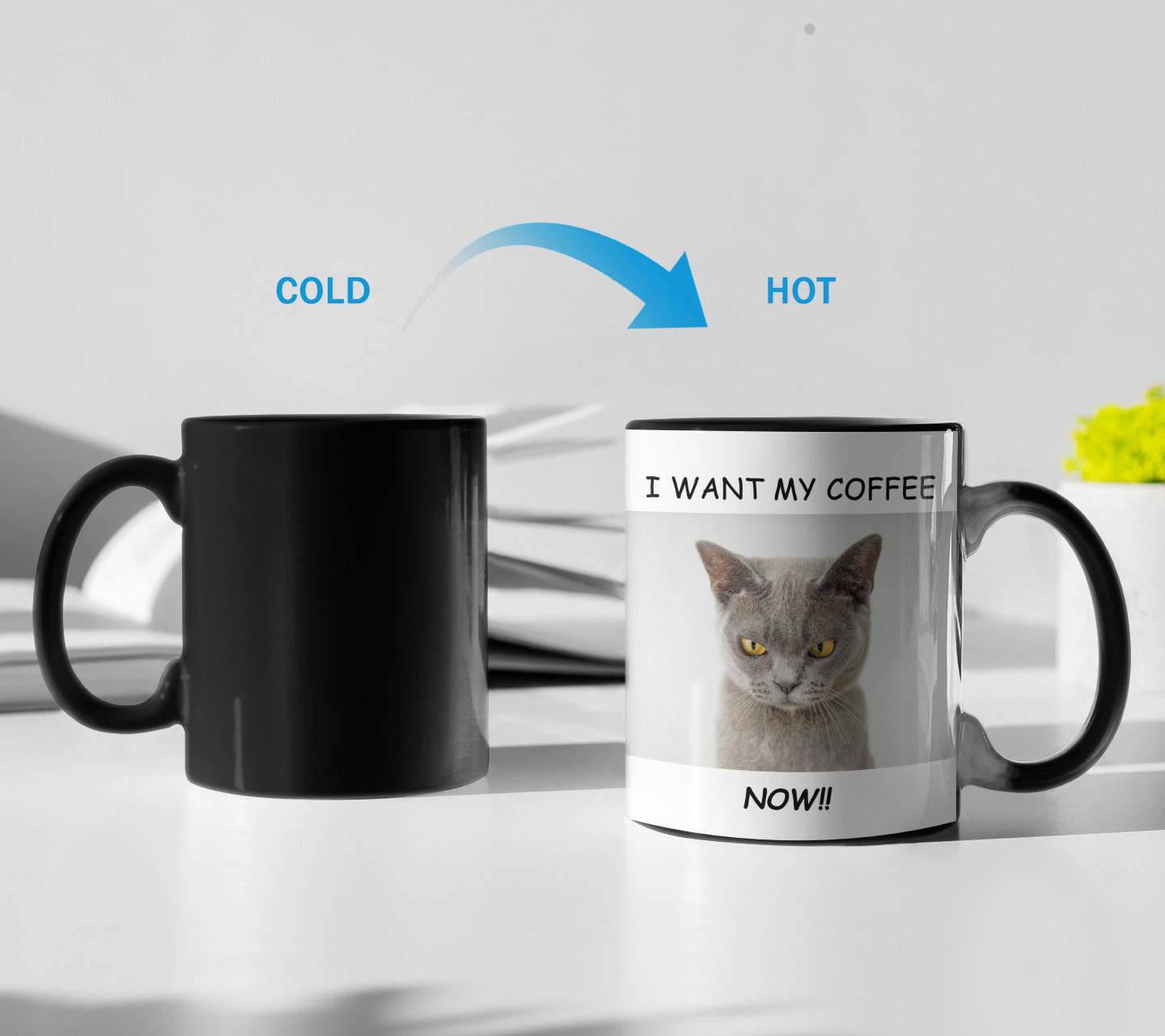 Color Changing Mug for Coffee-Loving Cat with Heat Sensitivity