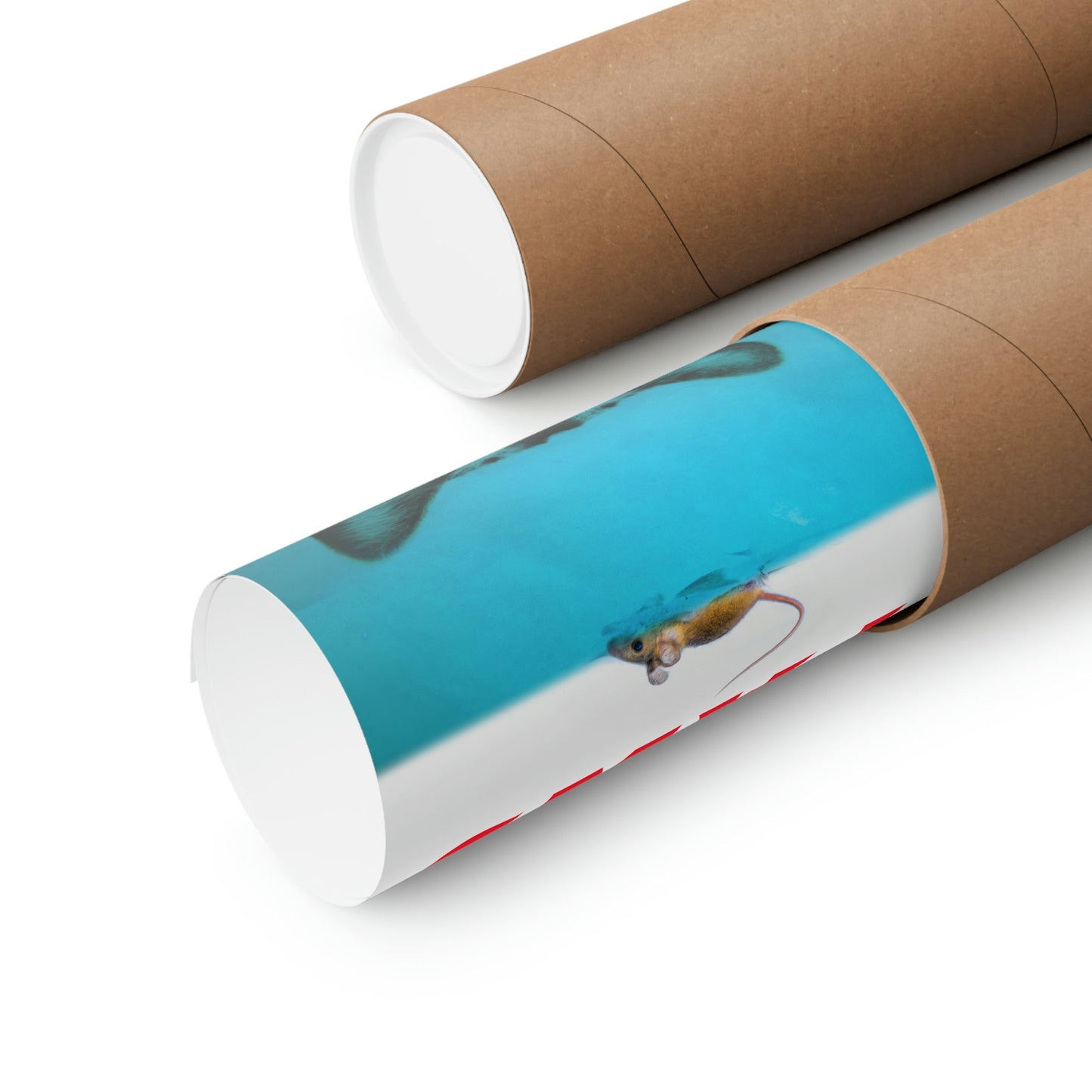 Movie Poster Featuring a Cat and Mouse Theme