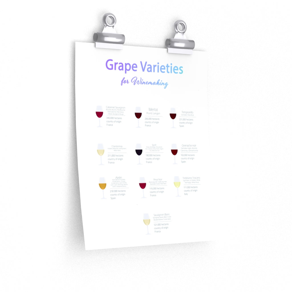 Decorate Your Room with a Poster Featuring Grape Types for Wine Production
