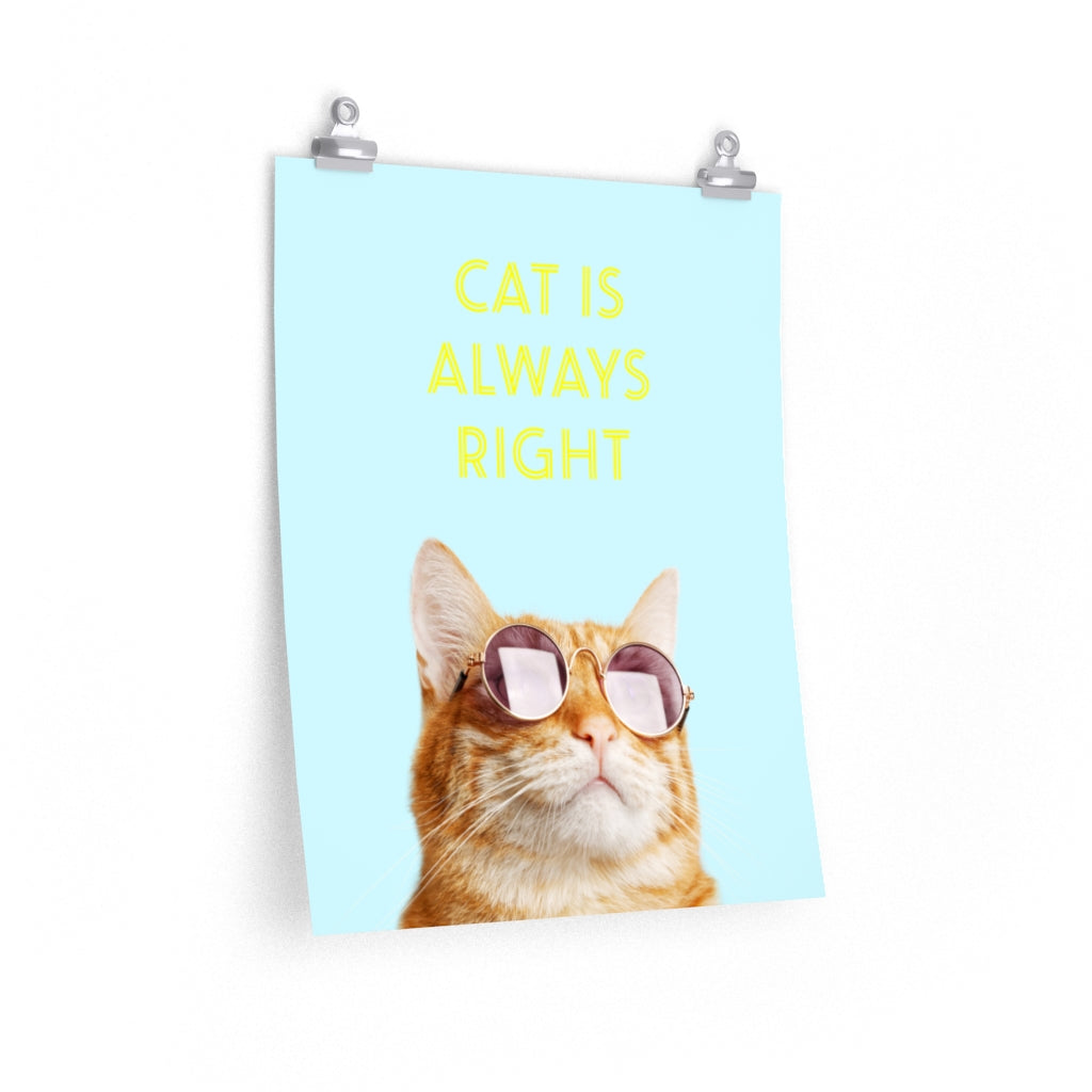 Premium Matte Vertical Posters: The Feline's Ultimate Wisdom