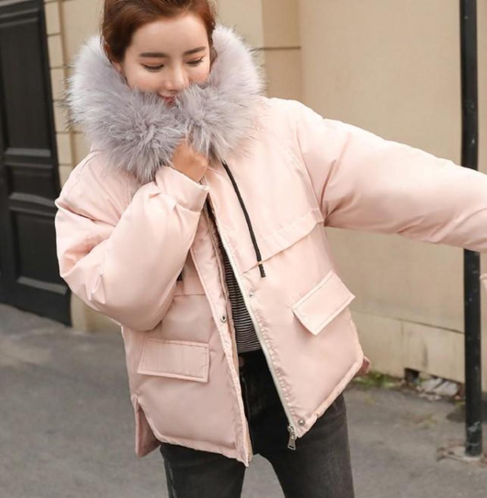Pink Hooded Short Winter Jacket for Women