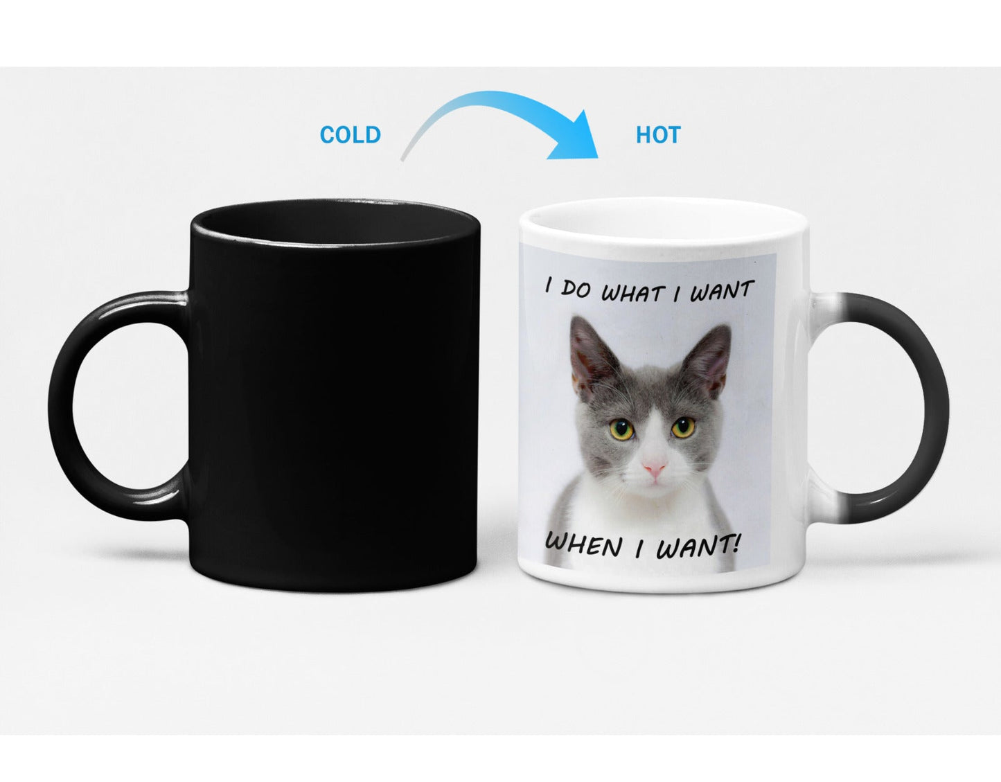 Heat Sensitive Color Changing Coffee Mug with a Bossy Kitten Vibe