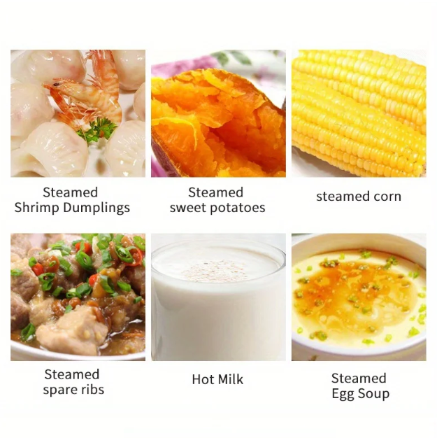 Compact Egg Cooker and Food Steamer