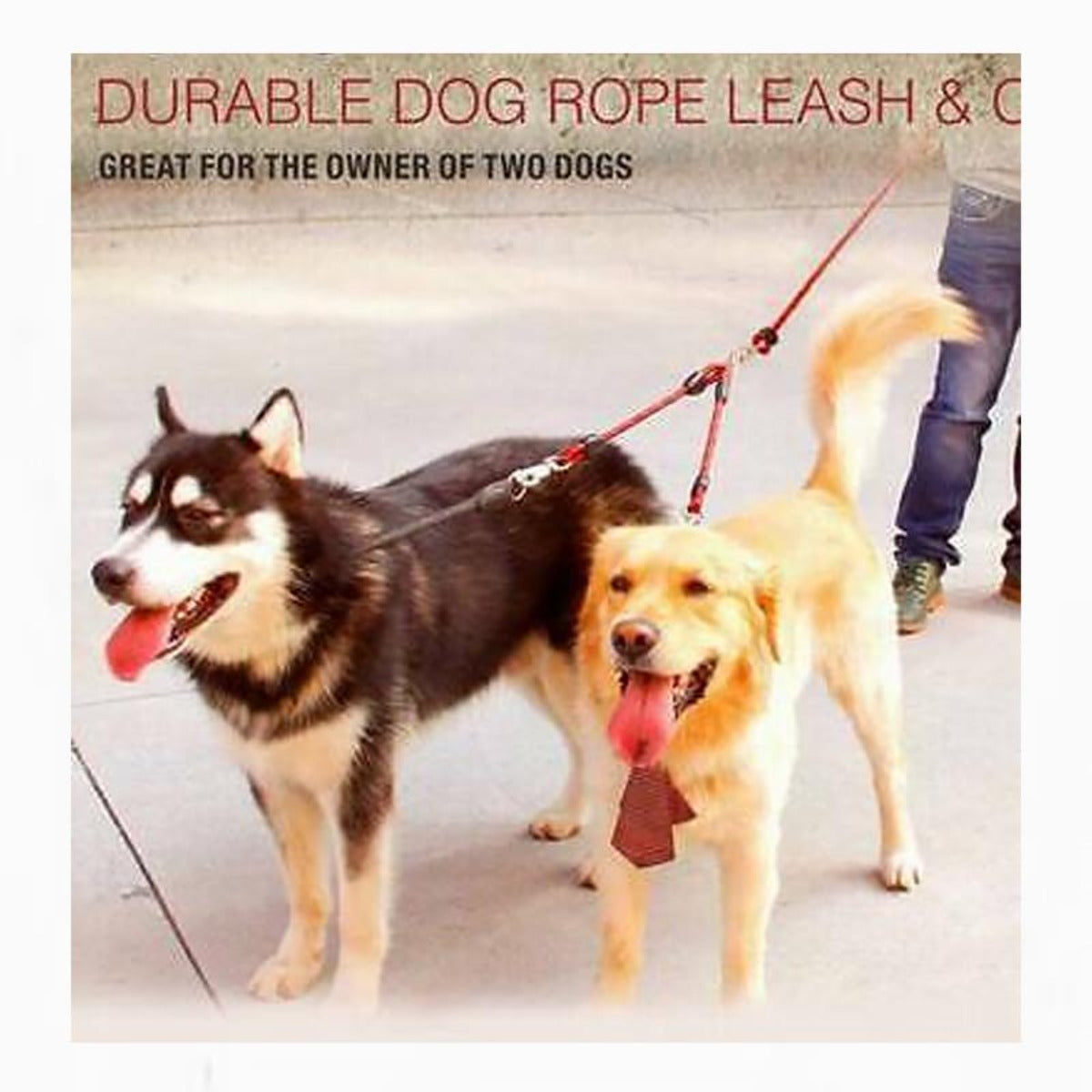 Sturdy Dual Dog Leash for Long-Lasting Use