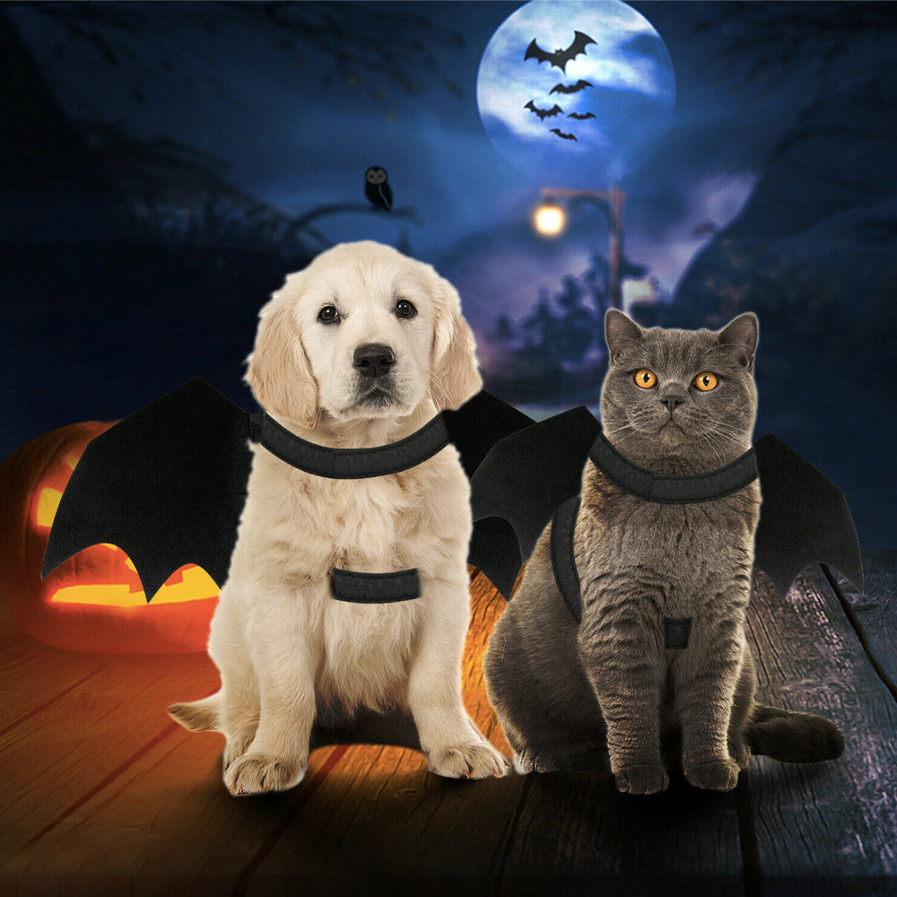 Pet Wings Costume for Halloween - Perfect for Cats and Dogs