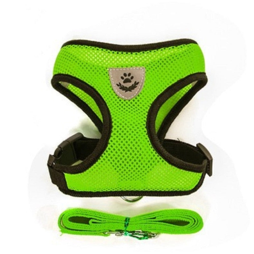Adjustable Pet Harness with Leash: Ensuring Comfort and Control for Your Furry Friend