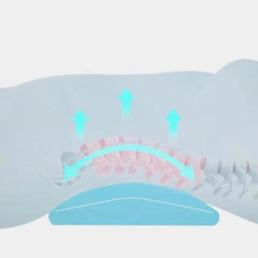 Lumbar Support Memory Foam Pillow