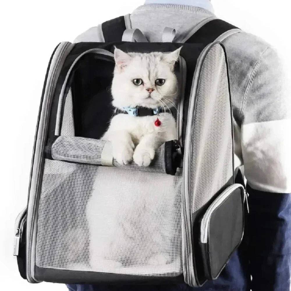 Pet Travel Backpack - Airy and Ventilated