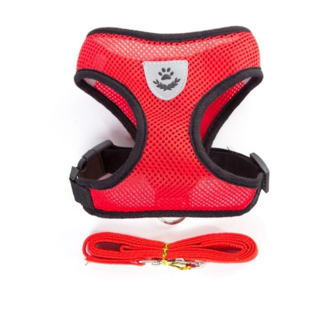 Adjustable Pet Harness with Leash: Ensuring Comfort and Control for Your Furry Friend