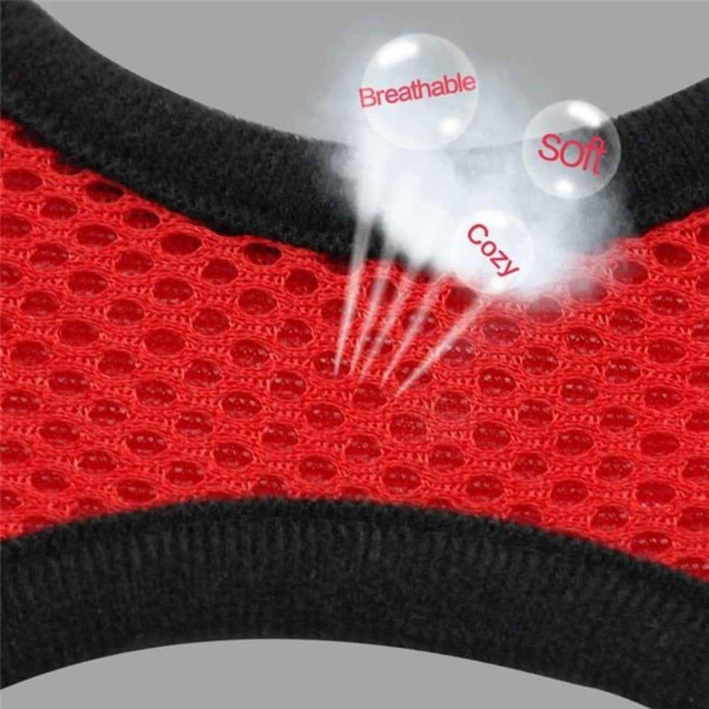 Adjustable Pet Harness with Leash: Ensuring Comfort and Control for Your Furry Friend