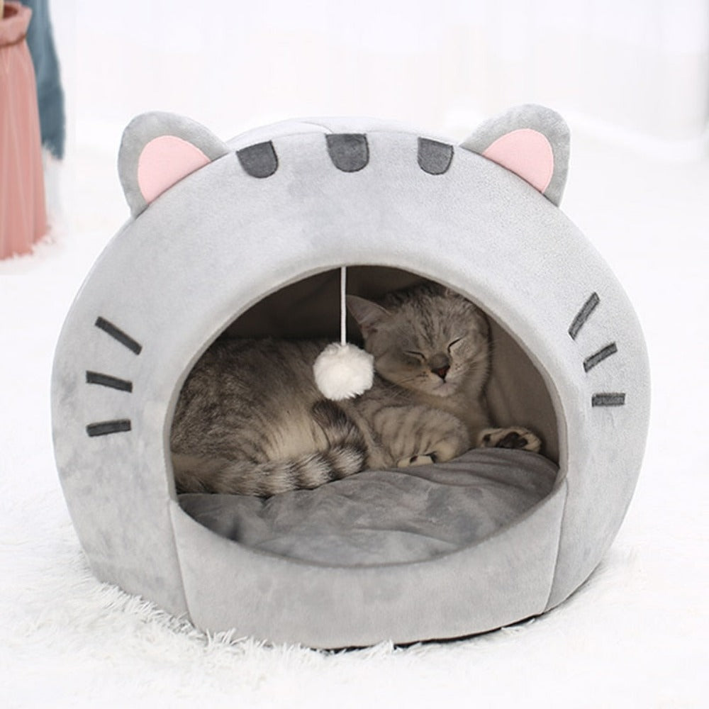 Pet House with Charming Feline Mouth Design