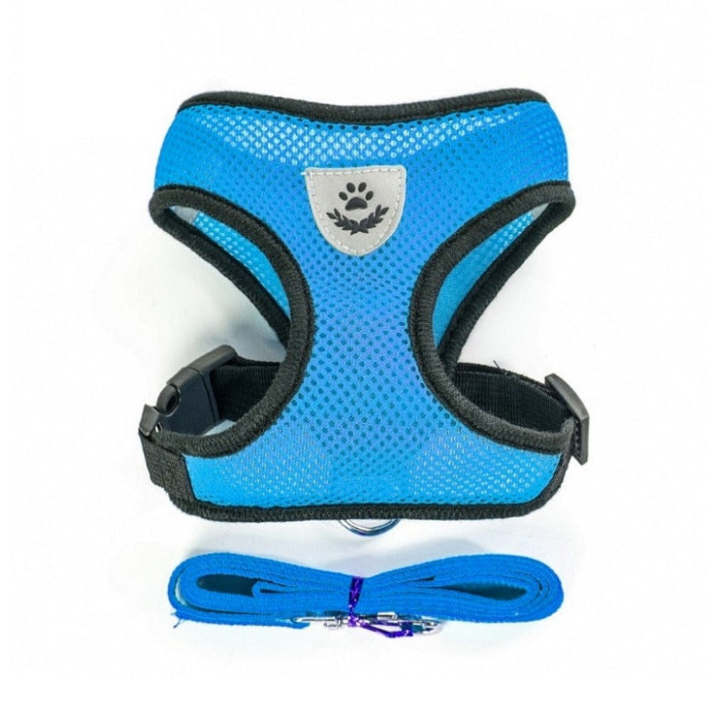 Adjustable Pet Harness with Leash: Ensuring Comfort and Control for Your Furry Friend