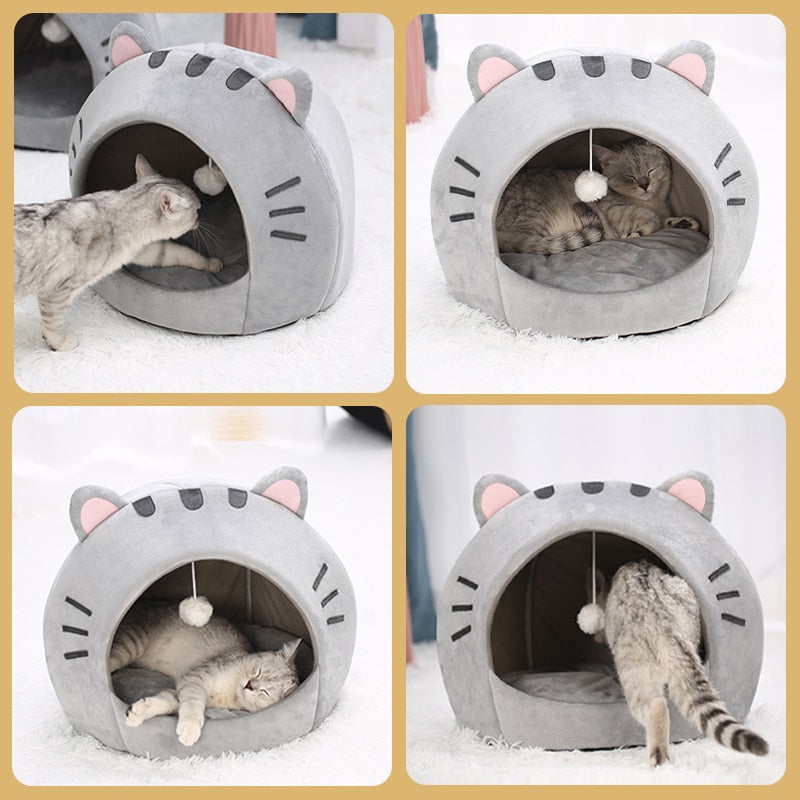 Pet House with Charming Feline Mouth Design