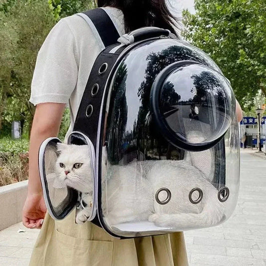 Transparent Pet Carrier with Breathable Design