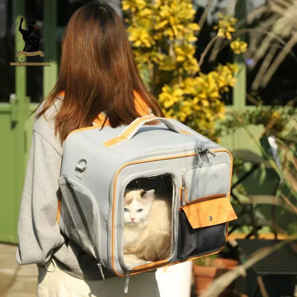 Breathable Clear Pet Travel Backpack