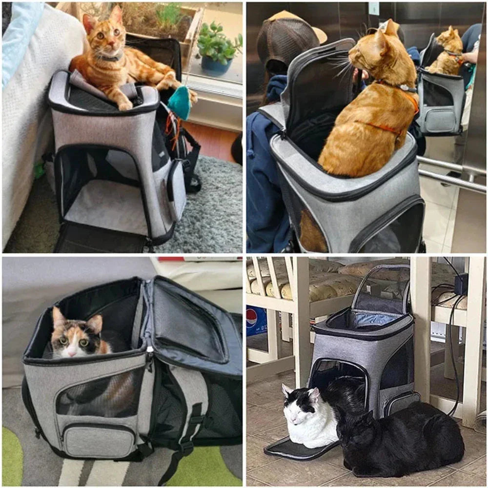 Pet Carrier Backpack with Foldable Design for Comfortable Travel with Your Furry Friend