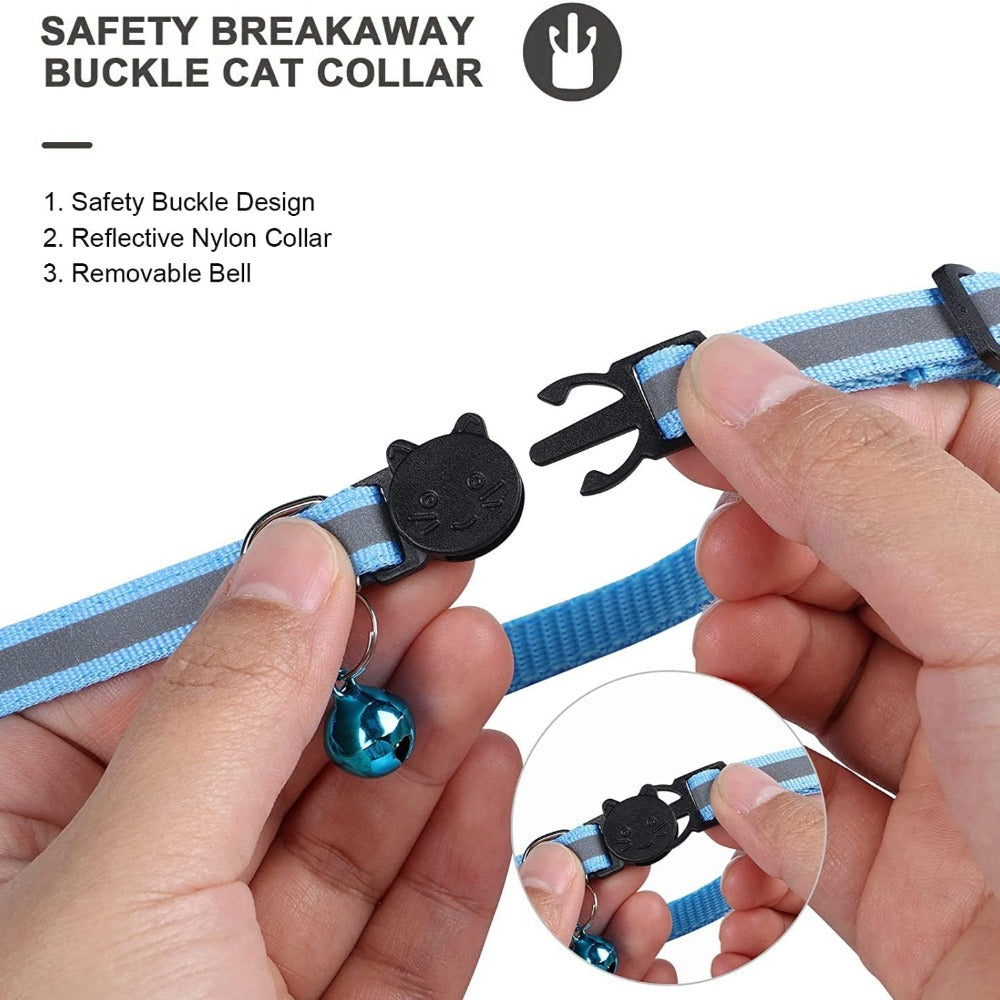 Reflective Pet Tag Holder for Feline and Canine Companions