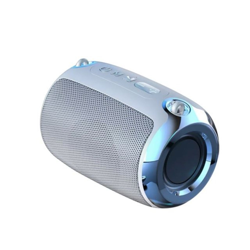 Portable Speaker with Powerful Bass - The Dragon