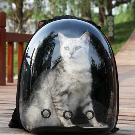 Transparent Cat Carrier with Enhanced Airflow