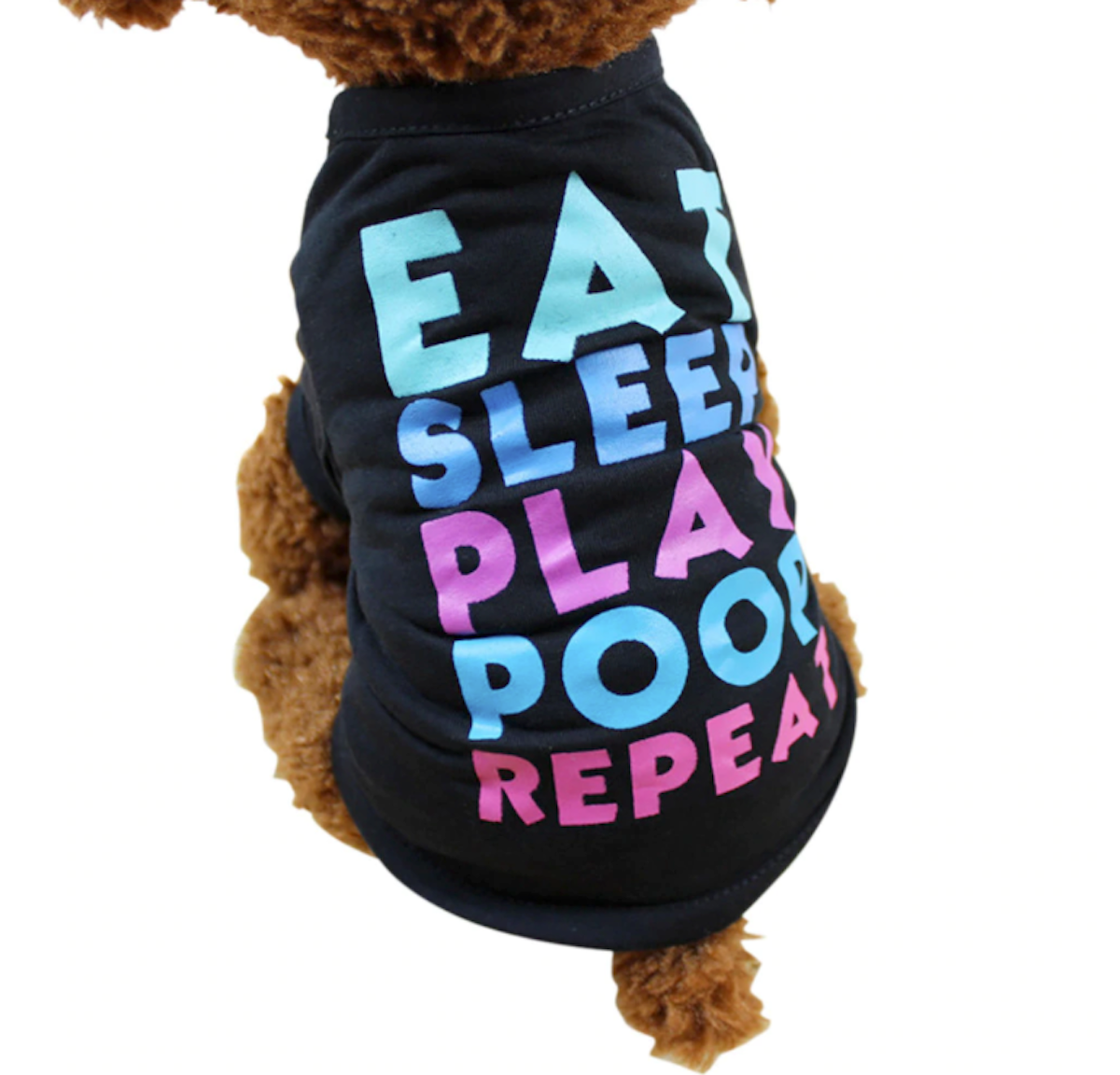 Summer Shirt for Puppies and Kittens