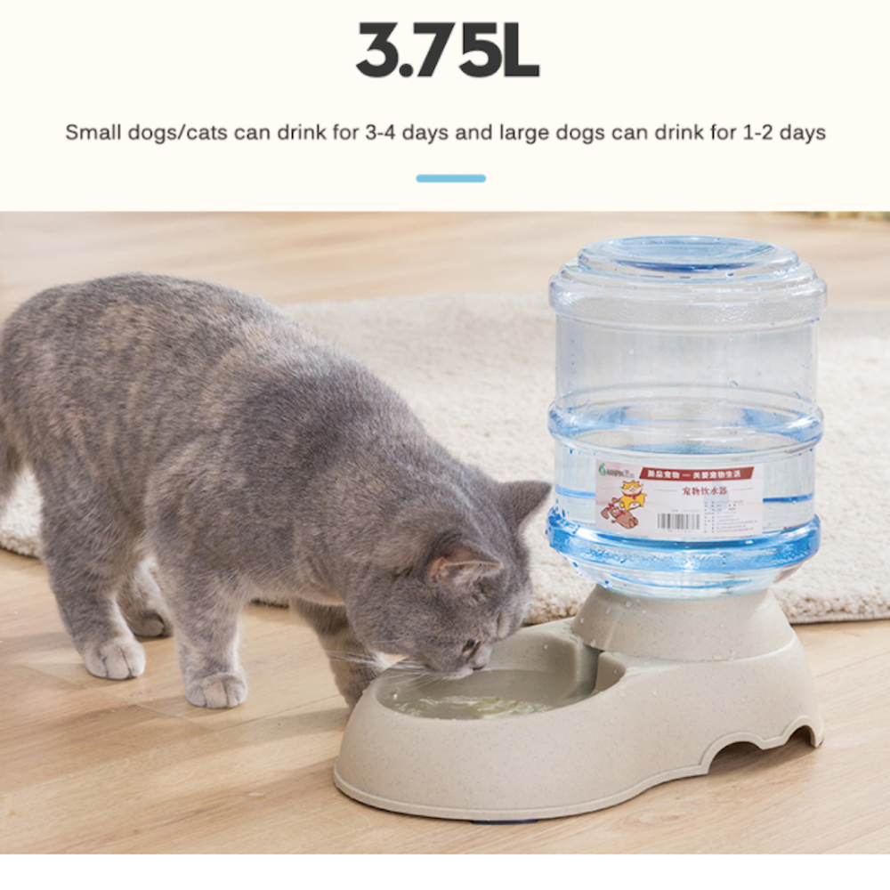 3.75L Pet Water Dispenser with Automatic Functionality