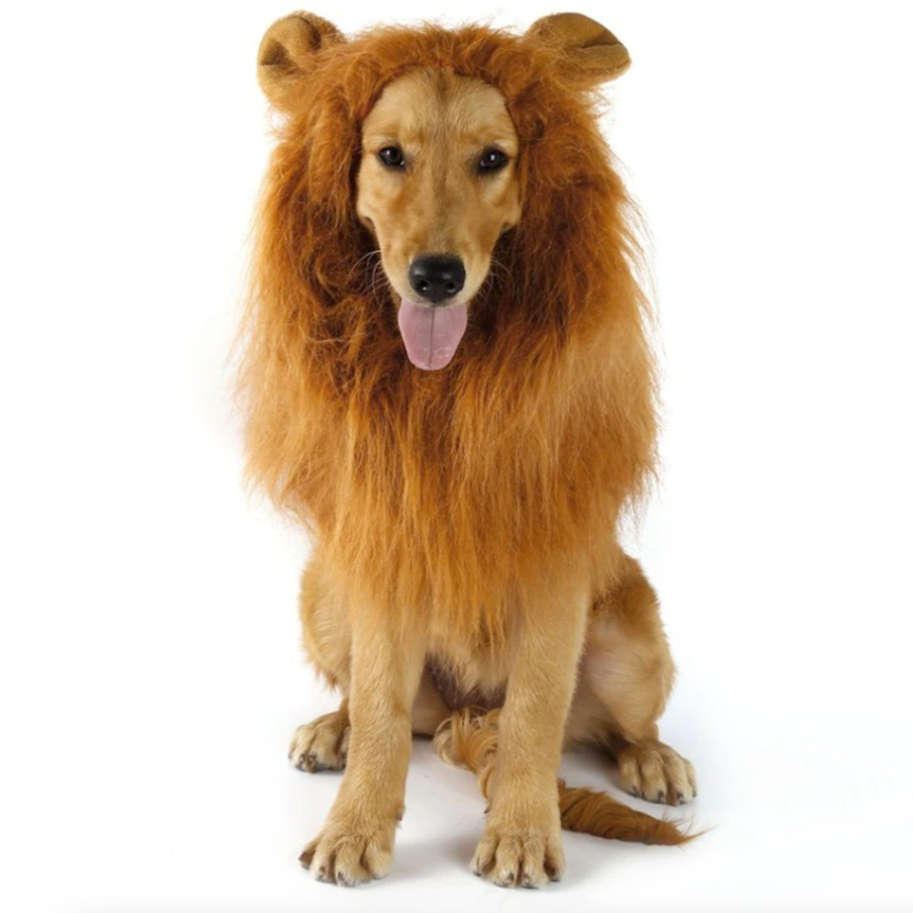 Lion Mane Canine Hairpiece