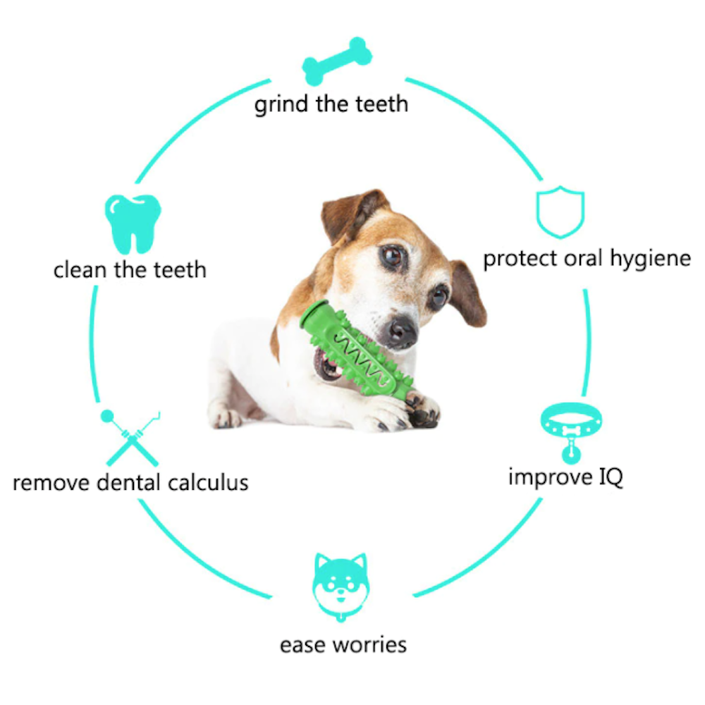 Dogs' Chew Toy: Promote Dental Health and Reduce Boredom