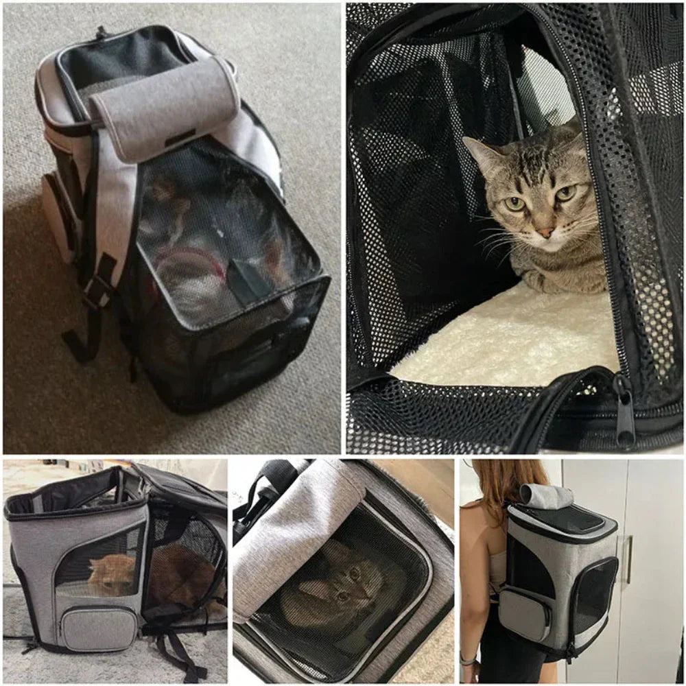 Pet Carrier Backpack with Foldable Design for Comfortable Travel with Your Furry Friend