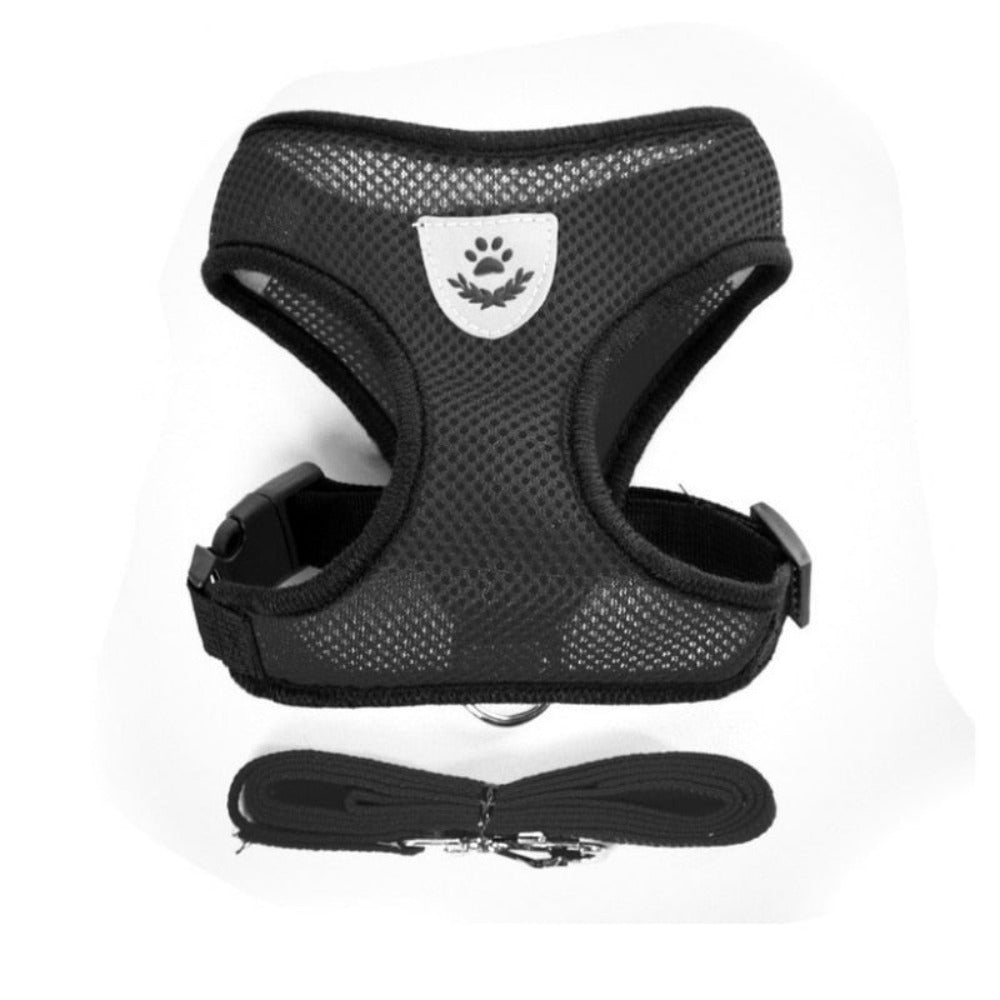 Adjustable Pet Harness with Leash: Ensuring Comfort and Control for Your Furry Friend