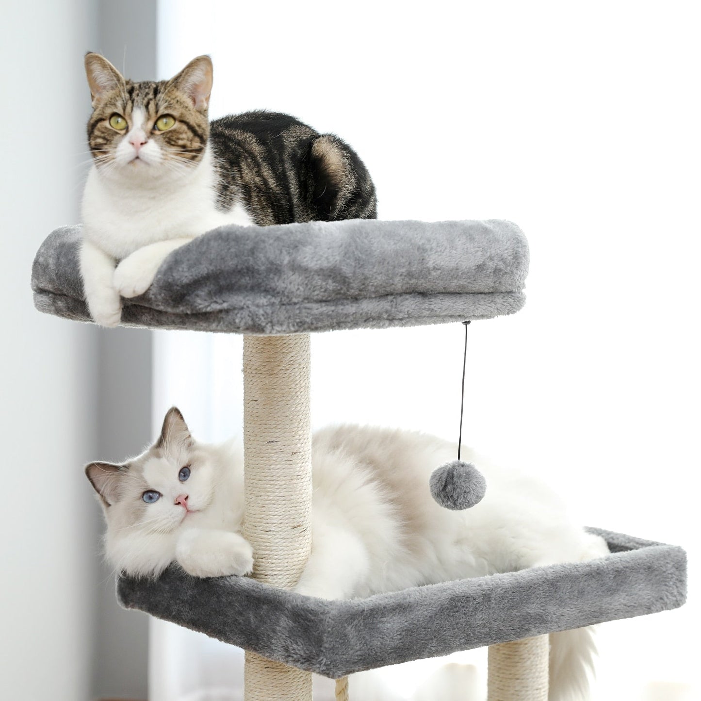 Entertainment Tower with Stairs for Cats
