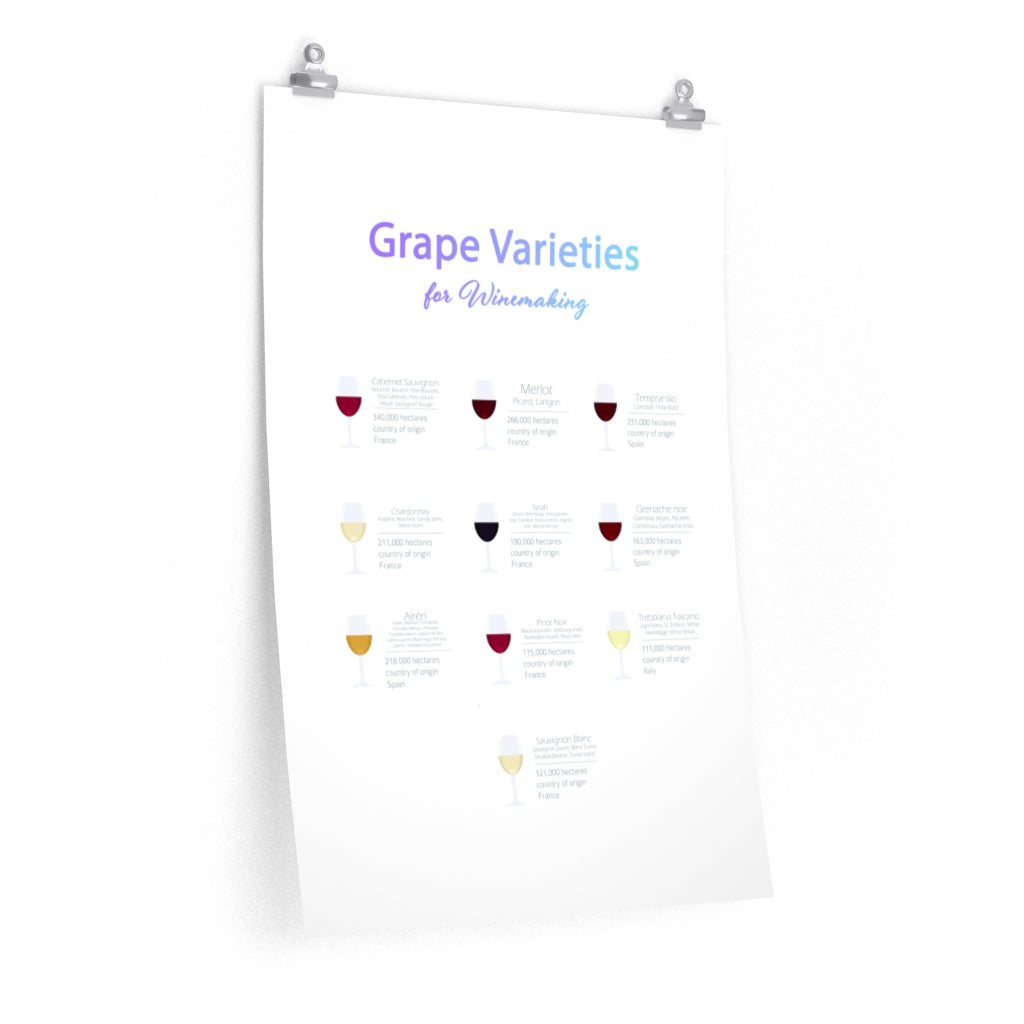 Decorate Your Room with a Poster Featuring Grape Types for Wine Production