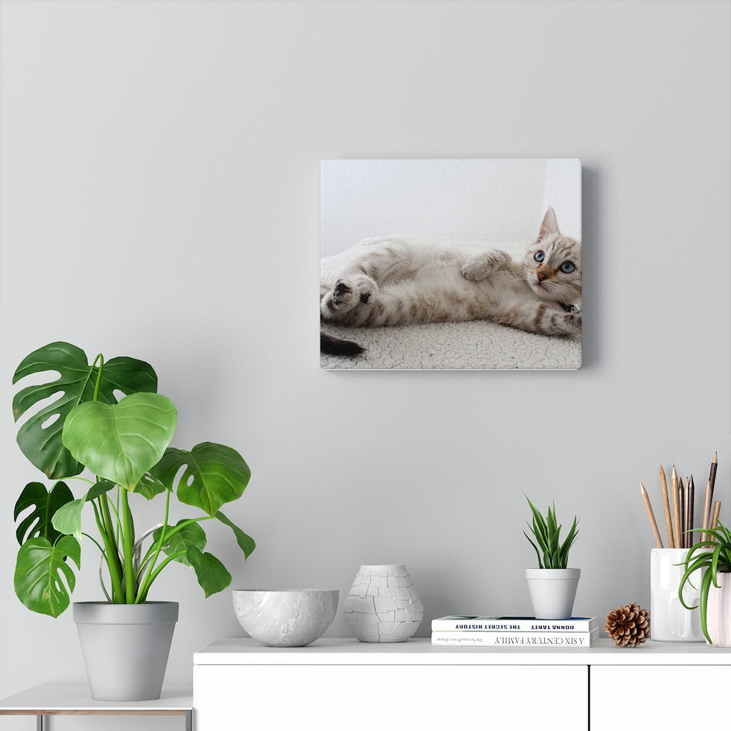 Charming Feline Canvas Wall Decor
