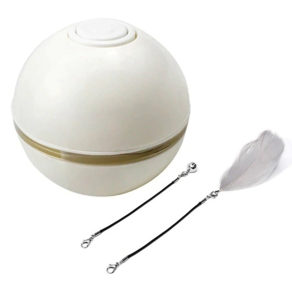 Feather LED Pet Ball with Illumination