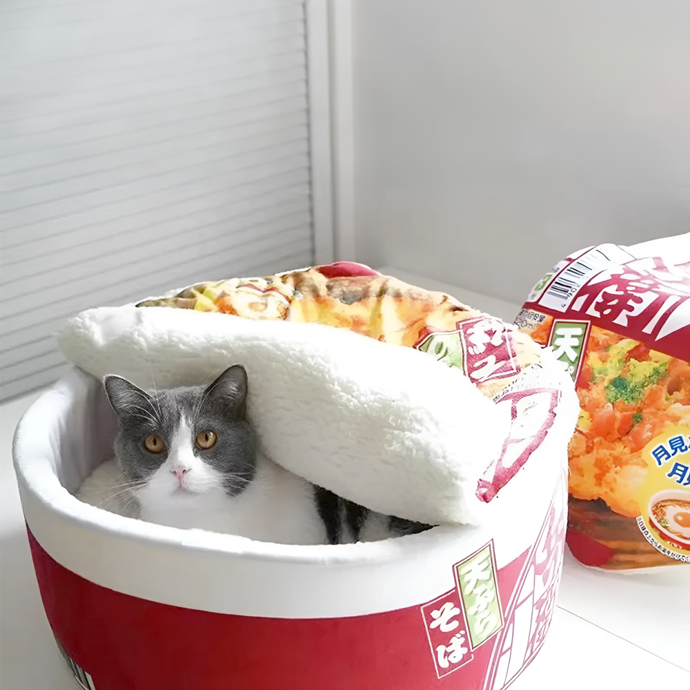 Medium Pet Ramen Pillow Bed