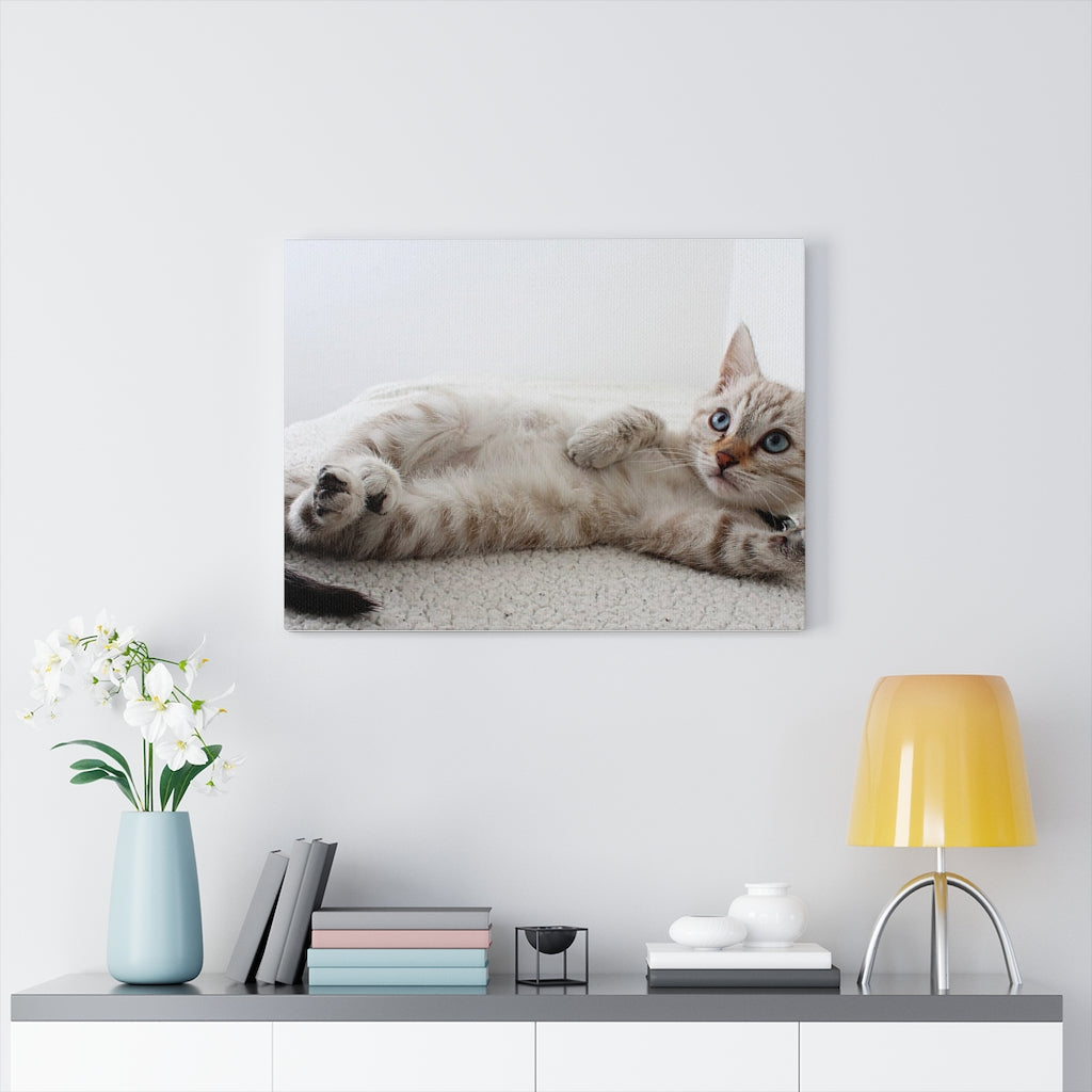 Charming Feline Canvas Wall Decor