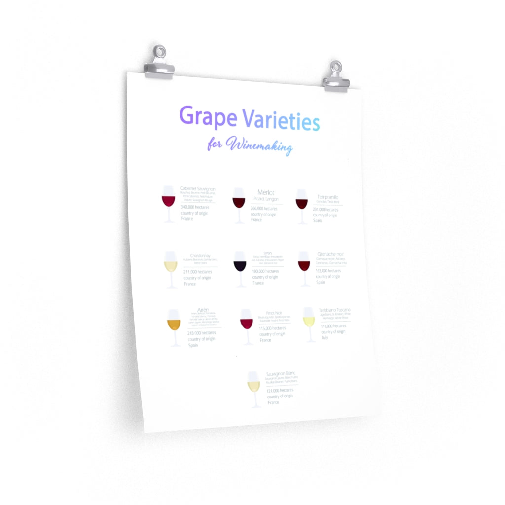 Decorate Your Room with a Poster Featuring Grape Types for Wine Production