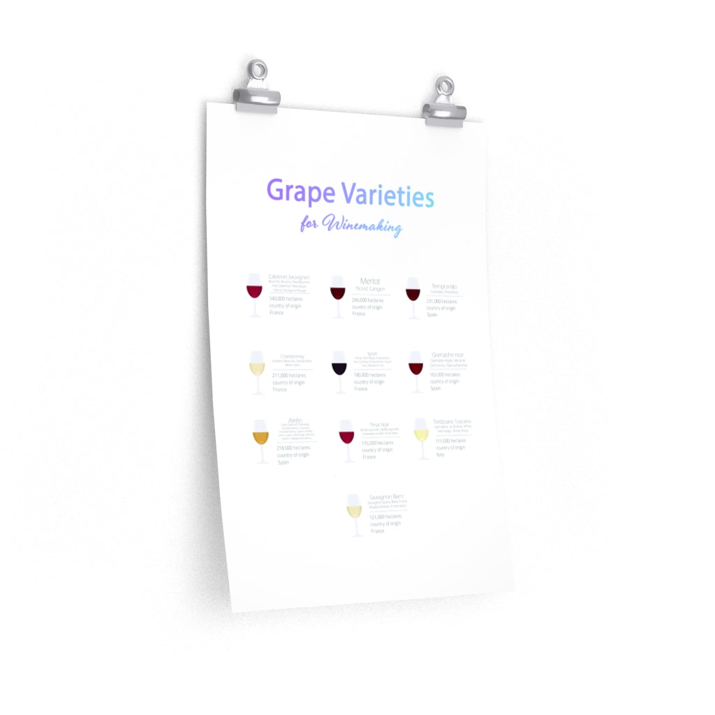 Decorate Your Room with a Poster Featuring Grape Types for Wine Production