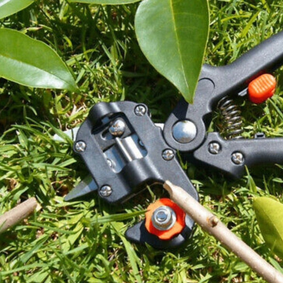 Gardening Shears with Two Blades for Pruning and Trimming