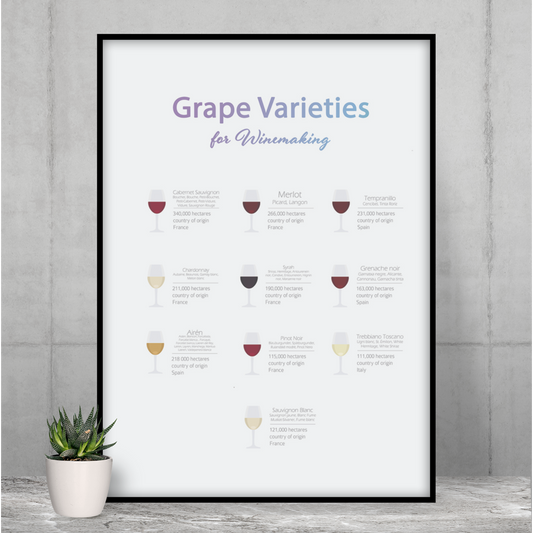 Decorate Your Room with a Poster Featuring Grape Types for Wine Production