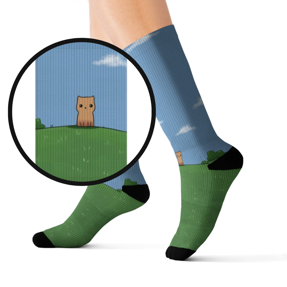 Novelty Socks for the Solitary Feline